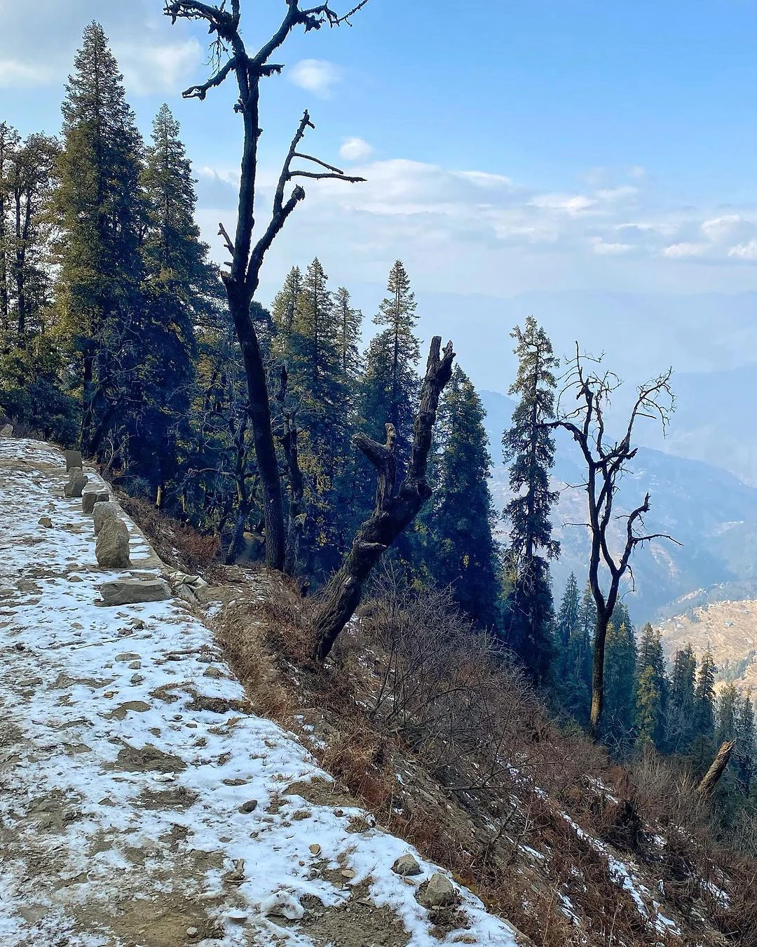 Camping in India